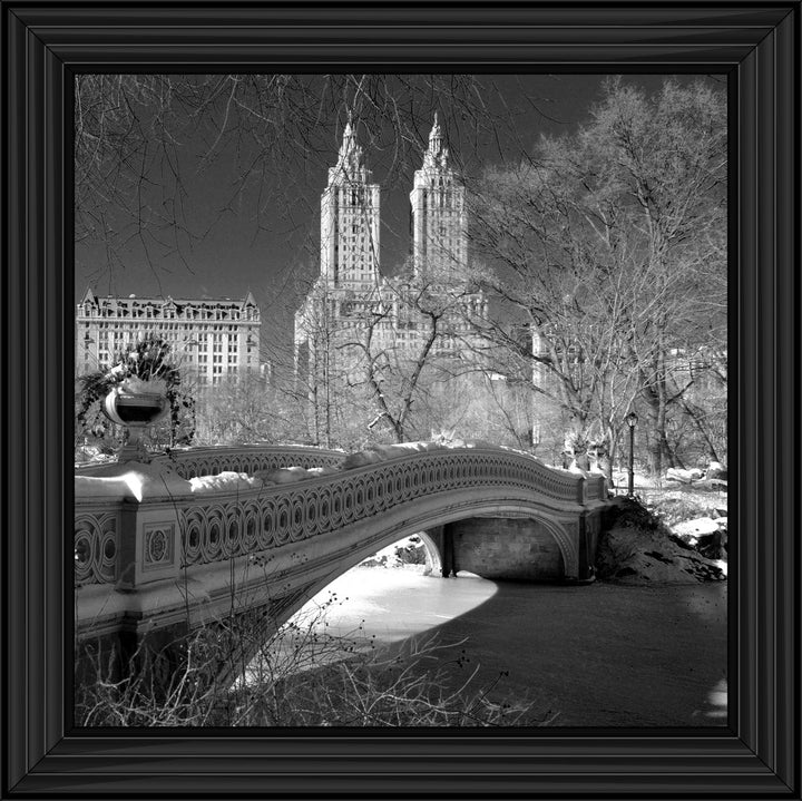 FTSFT356 Bow Bridge, Central Park