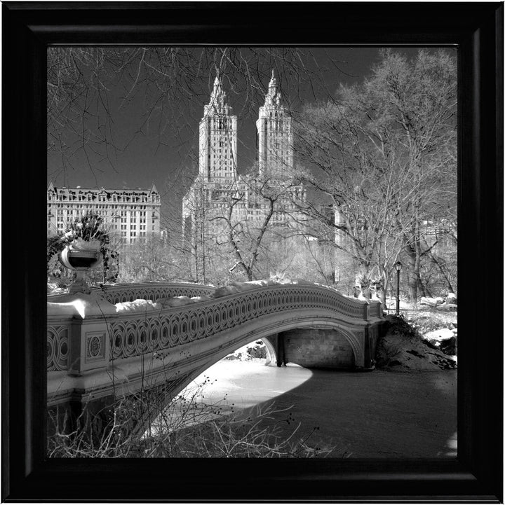 FTSFT356 Bow Bridge, Central Park