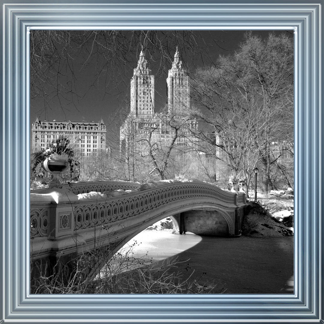 FTSFT356 Bow Bridge, Central Park