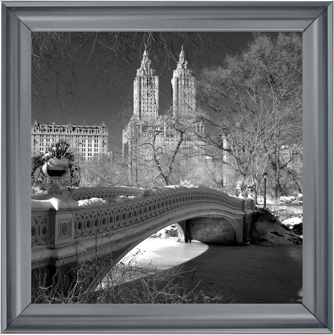 FTSFT356 Bow Bridge, Central Park