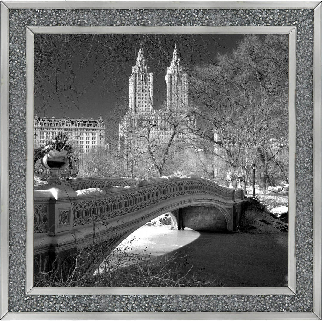 FTSFT356 Bow Bridge, Central Park