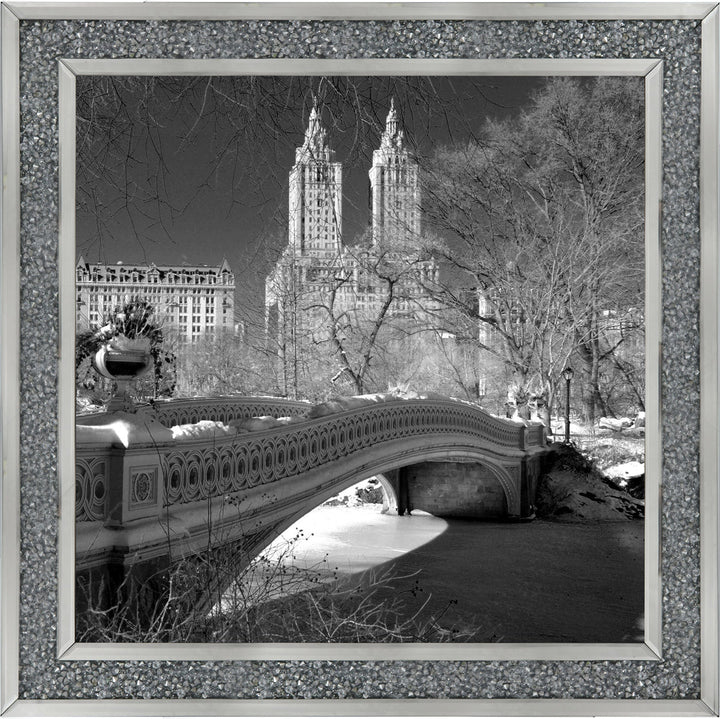 FTSFT356 Bow Bridge, Central Park