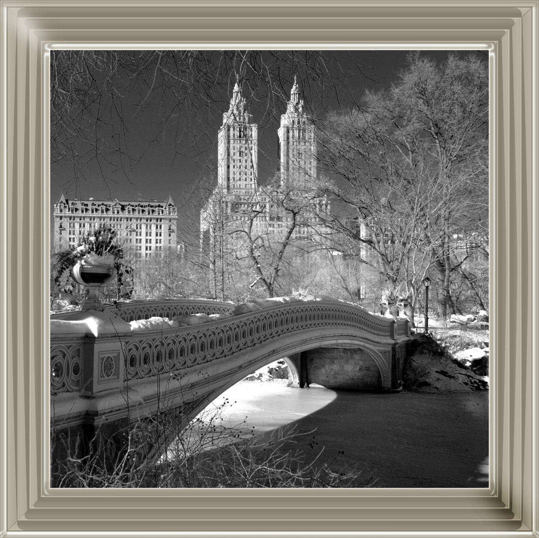 FTSFT356 Bow Bridge, Central Park
