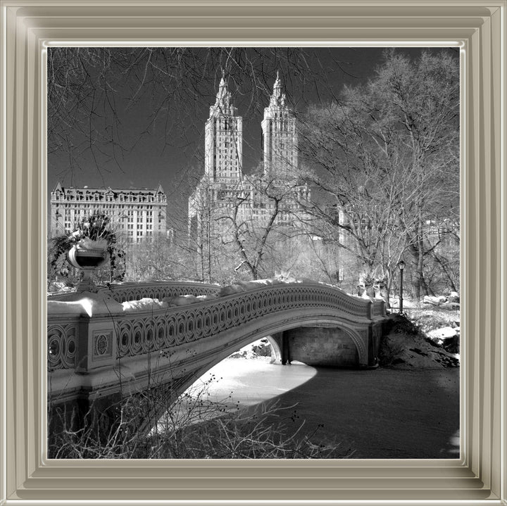 FTSFT356 Bow Bridge, Central Park