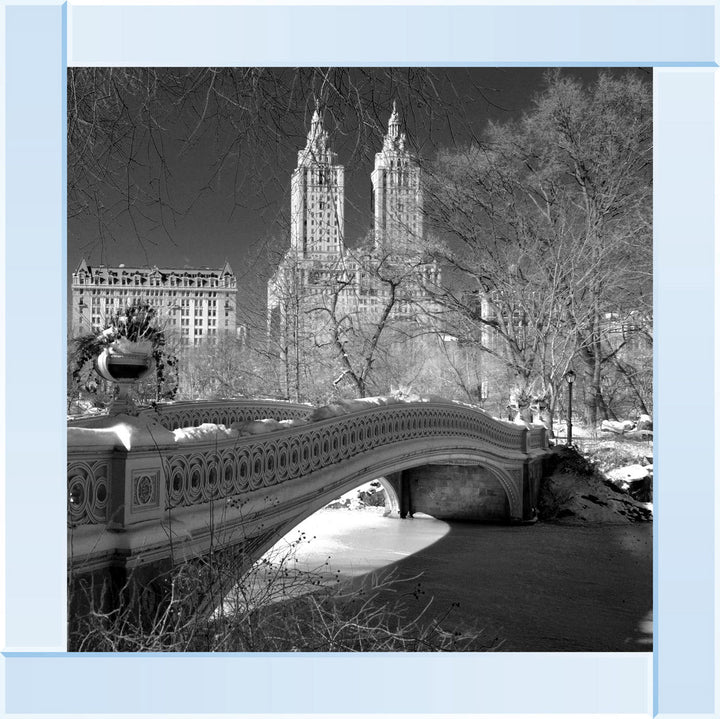 FTSFT356 Bow Bridge, Central Park