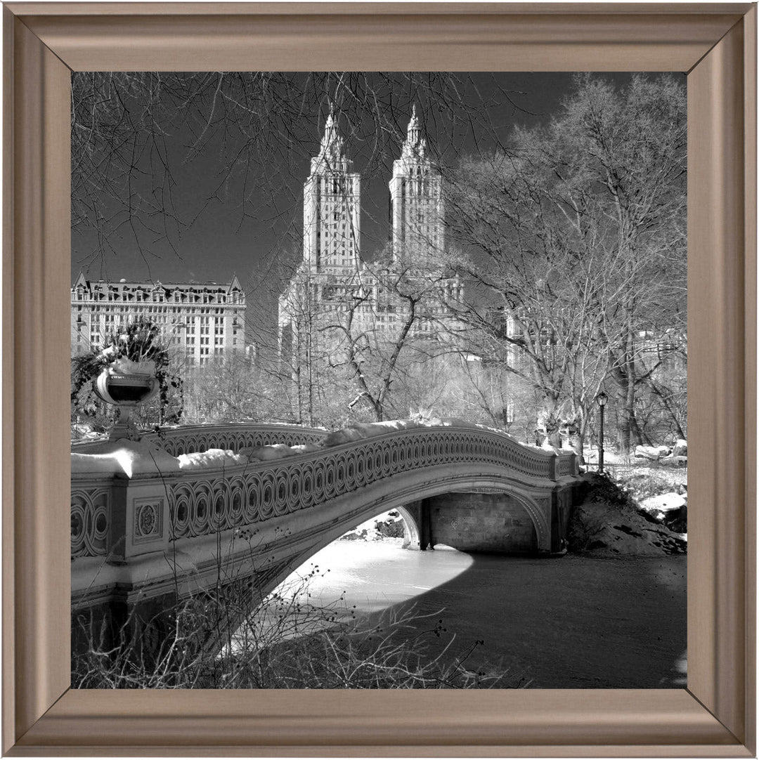 FTSFT356 Bow Bridge, Central Park
