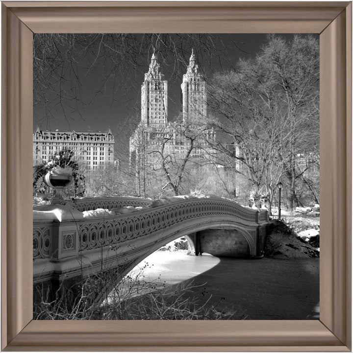 FTSFT356 Bow Bridge, Central Park