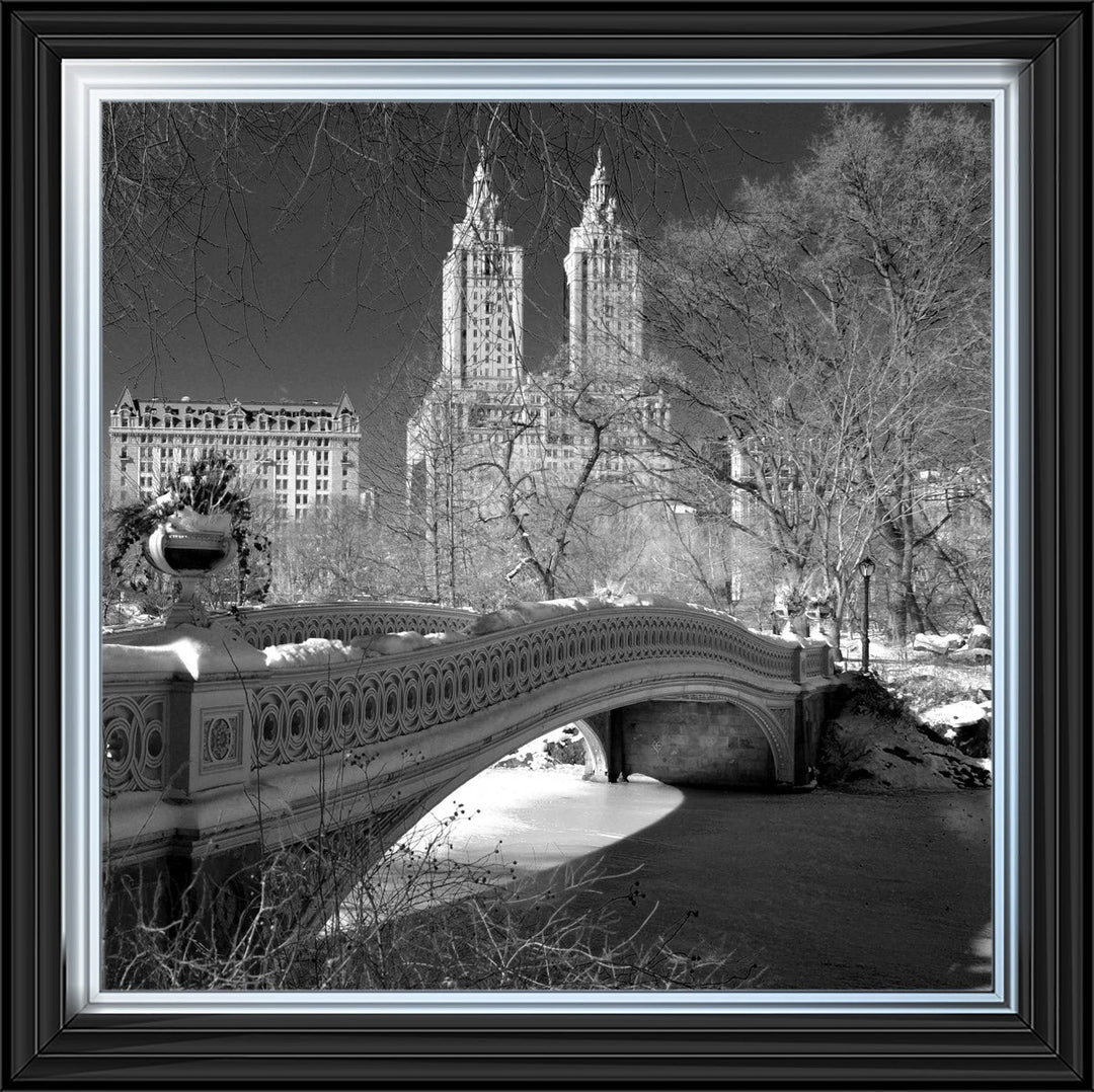 FTSFT356 Bow Bridge, Central Park
