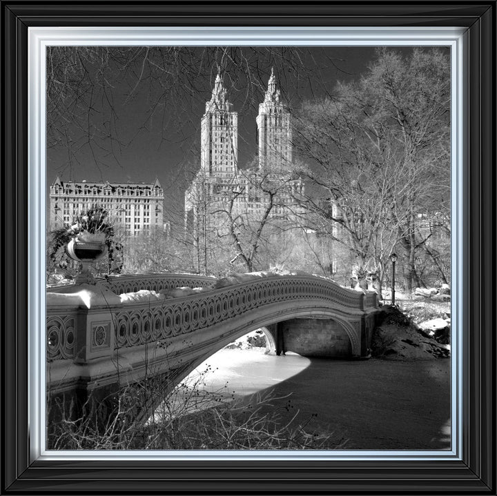 FTSFT356 Bow Bridge, Central Park