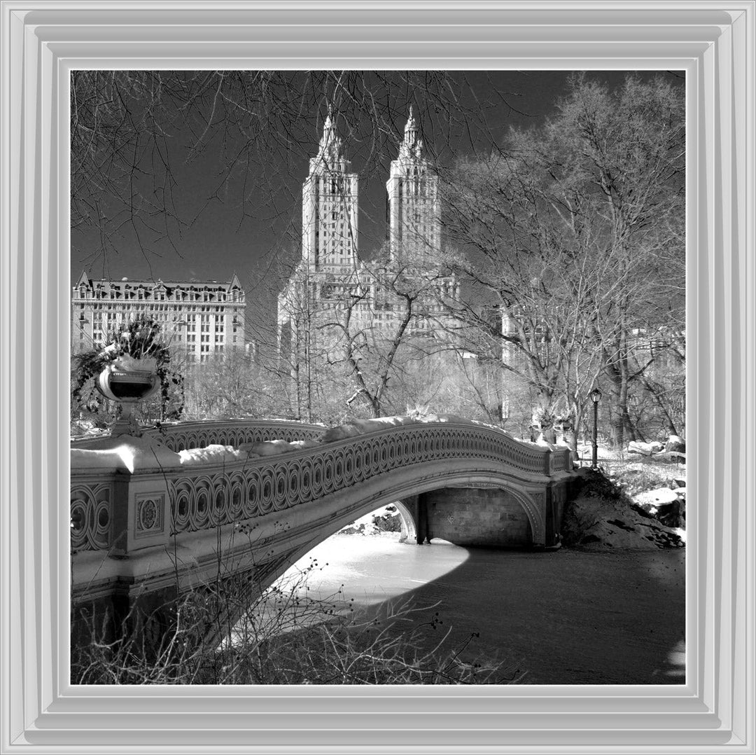 FTSFT356 Bow Bridge, Central Park