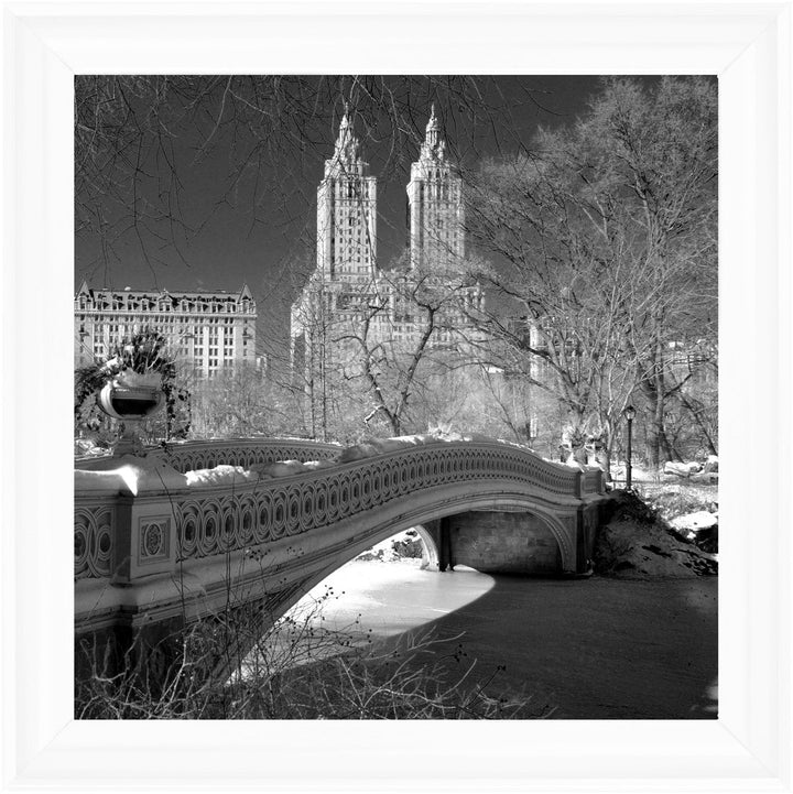 FTSFT356 Bow Bridge, Central Park