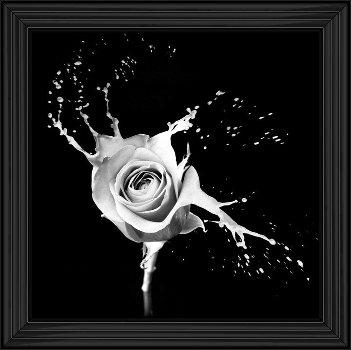 FL015 Rose Splash Black