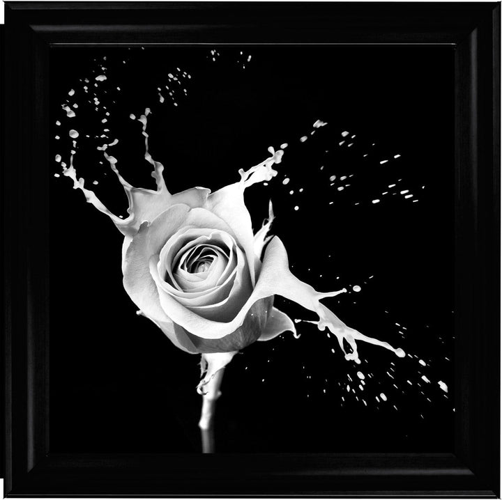 FL015 Rose Splash Black