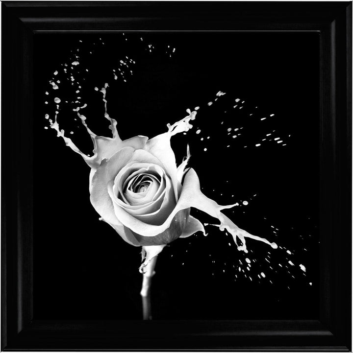 FL015 Rose Splash Black