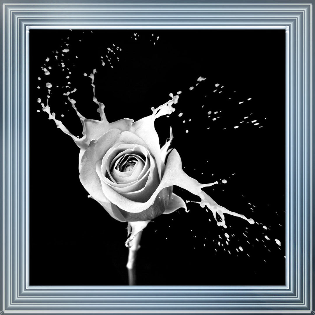 FL015 Rose Splash Black