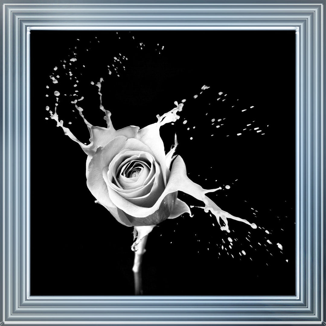 FL015 Rose Splash Black