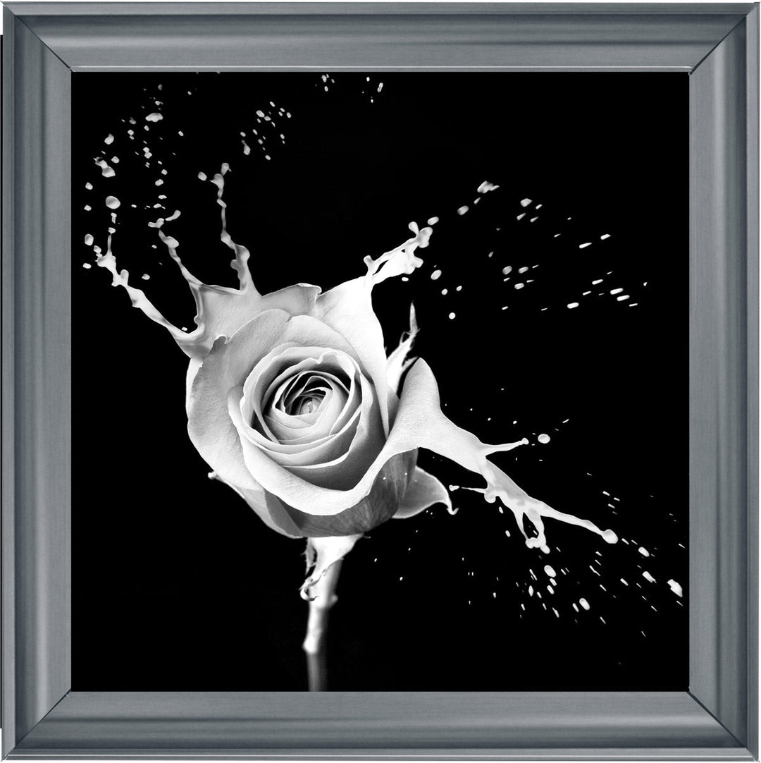 FL015 Rose Splash Black