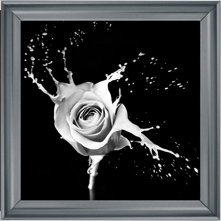 FL015 Rose Splash Black