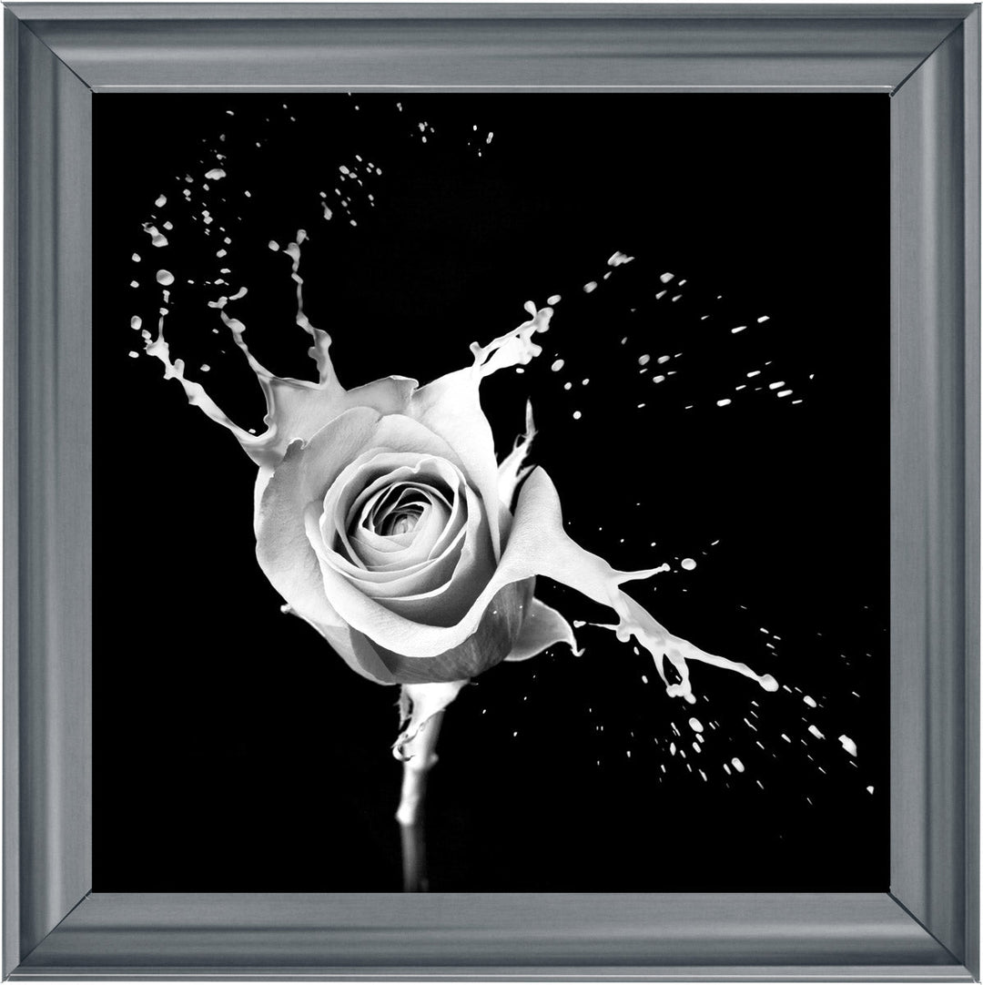 FL015 Rose Splash Black