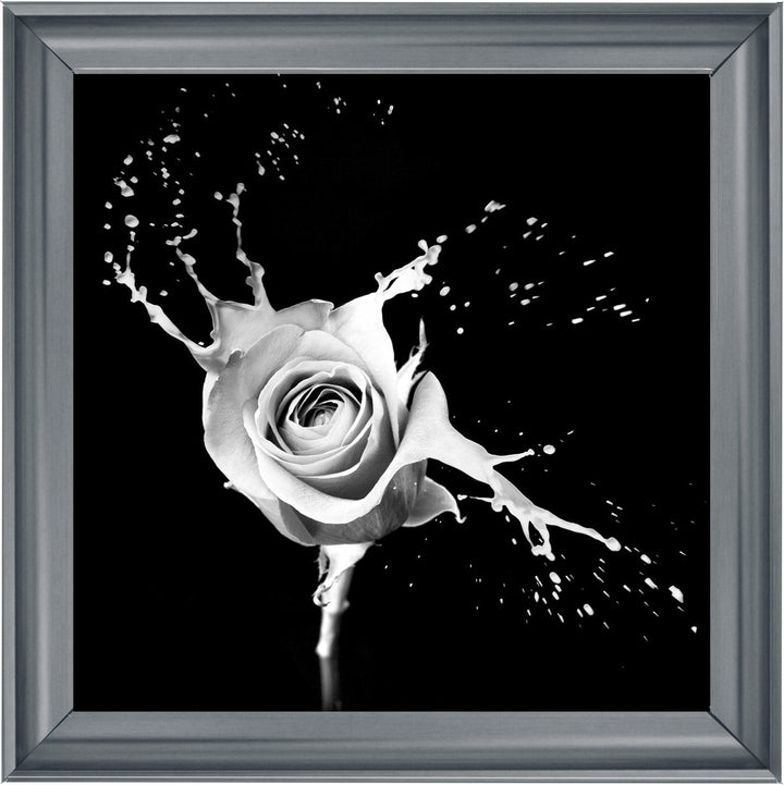 FL015 Rose Splash Black