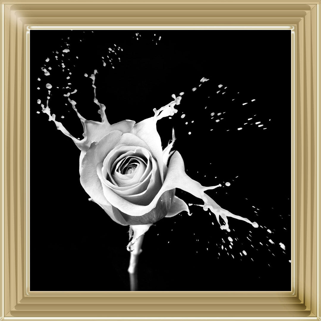 FL015 Rose Splash Black