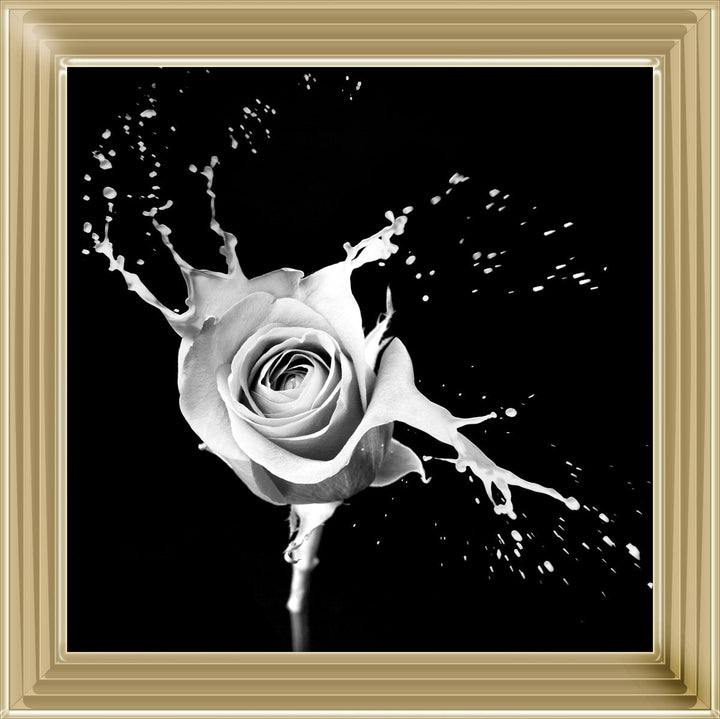 FL015 Rose Splash Black