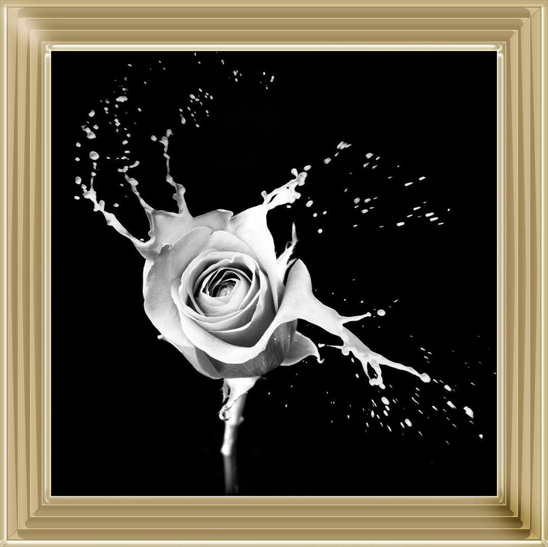 FL015 Rose Splash Black