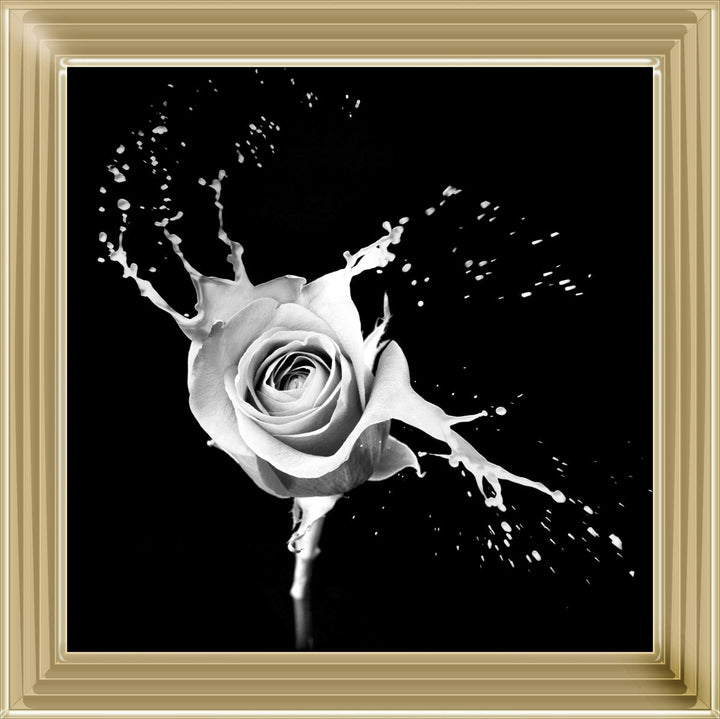 FL015 Rose Splash Black
