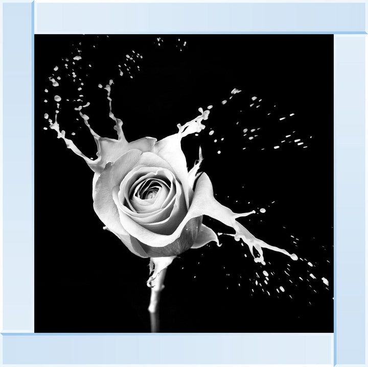 FL015 Rose Splash Black