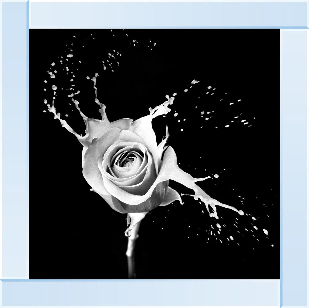 FL015 Rose Splash Black