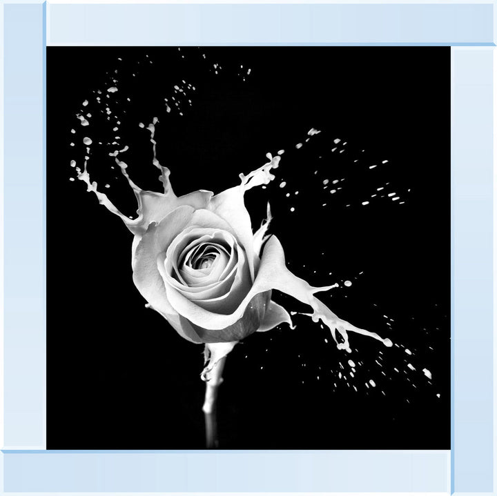 FL015 Rose Splash Black