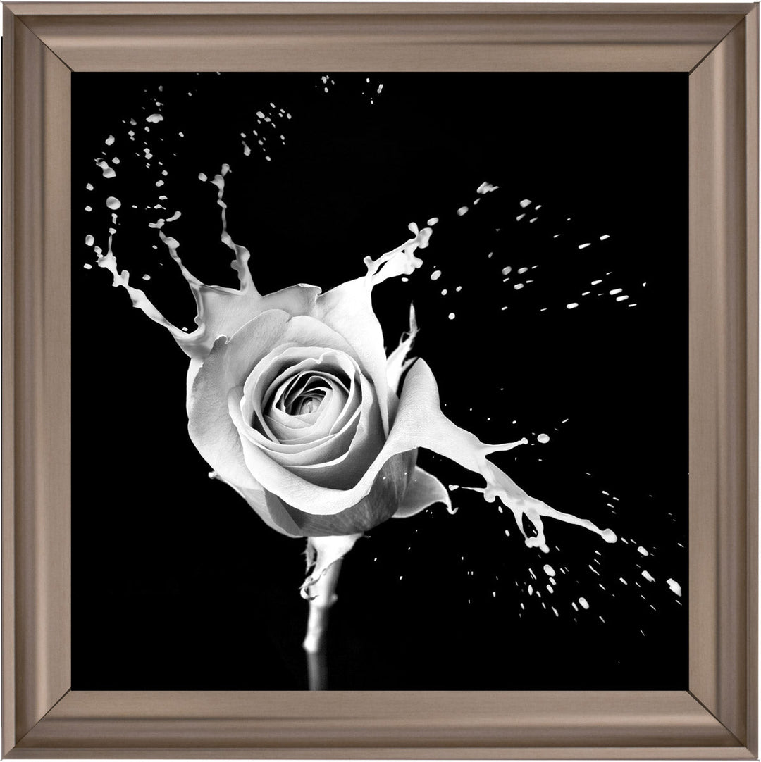 FL015 Rose Splash Black
