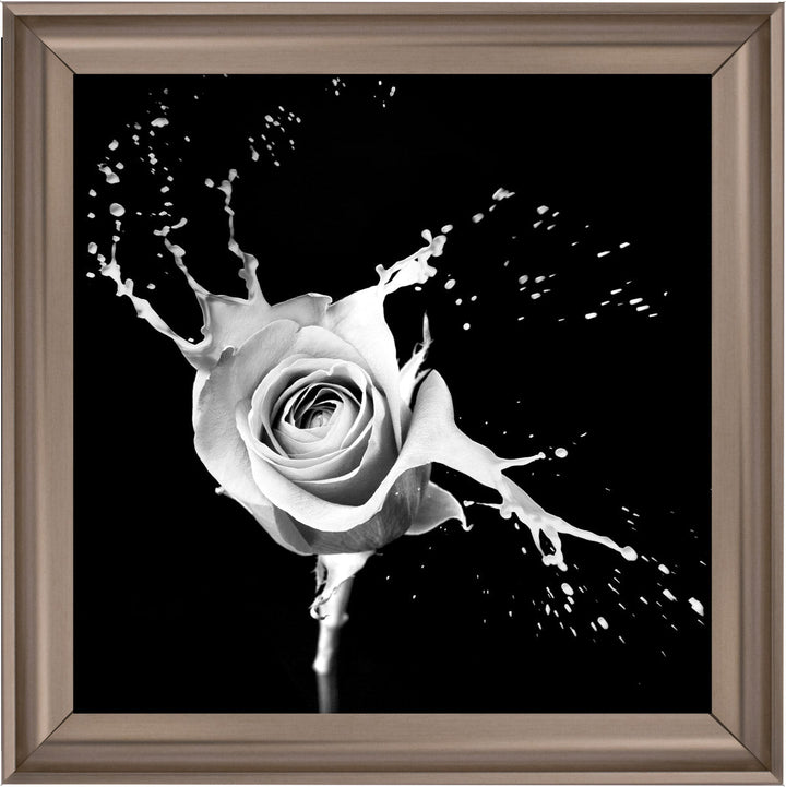 FL015 Rose Splash Black