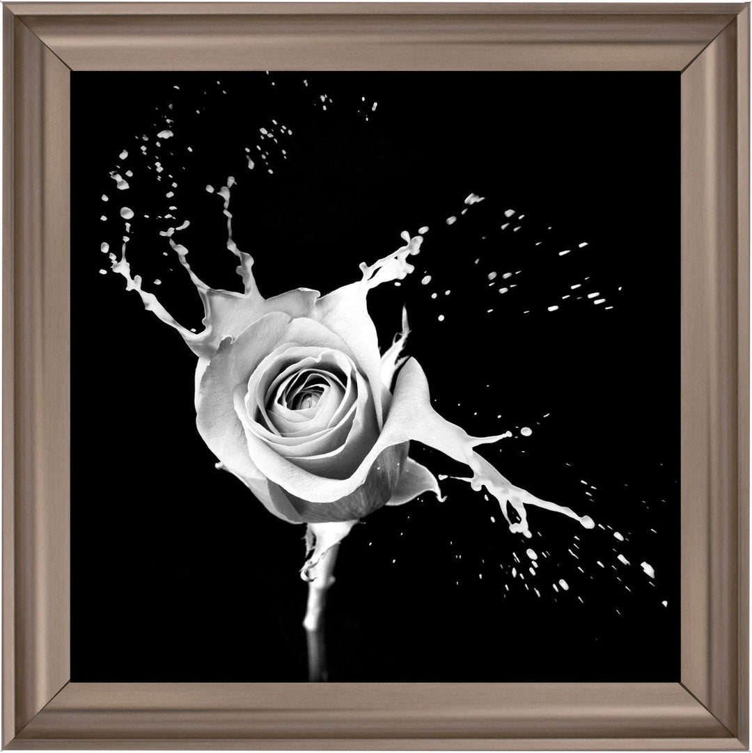 FL015 Rose Splash Black