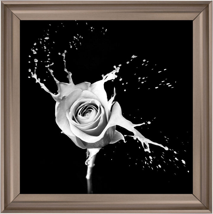 FL015 Rose Splash Black