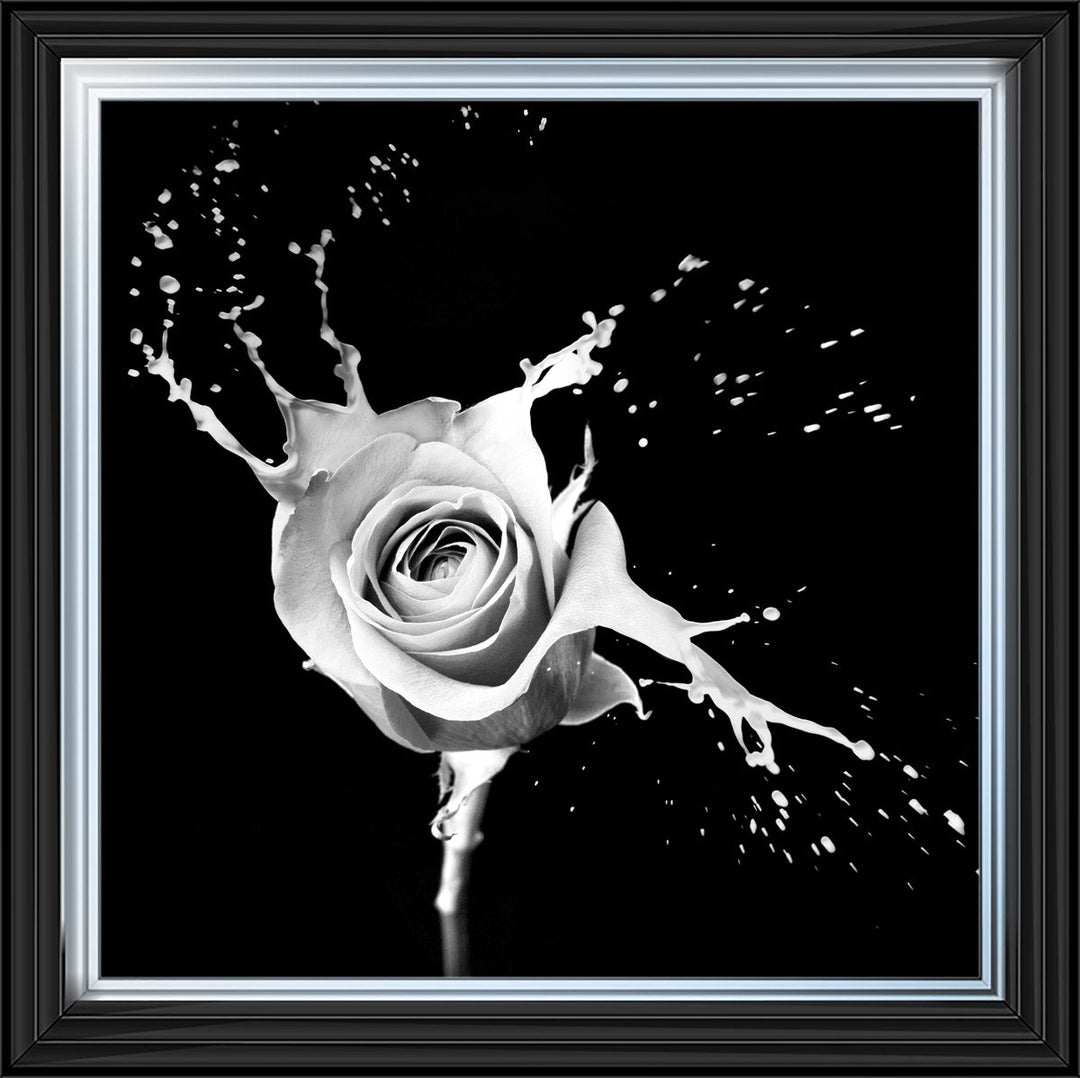 FL015 Rose Splash Black