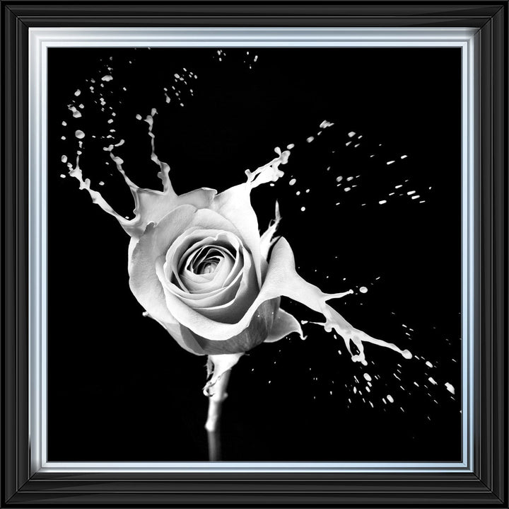 FL015 Rose Splash Black