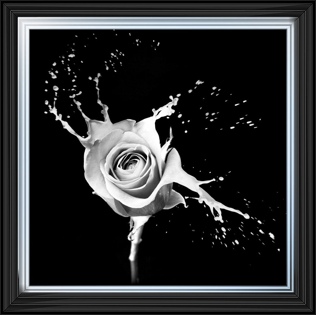 FL015 Rose Splash Black