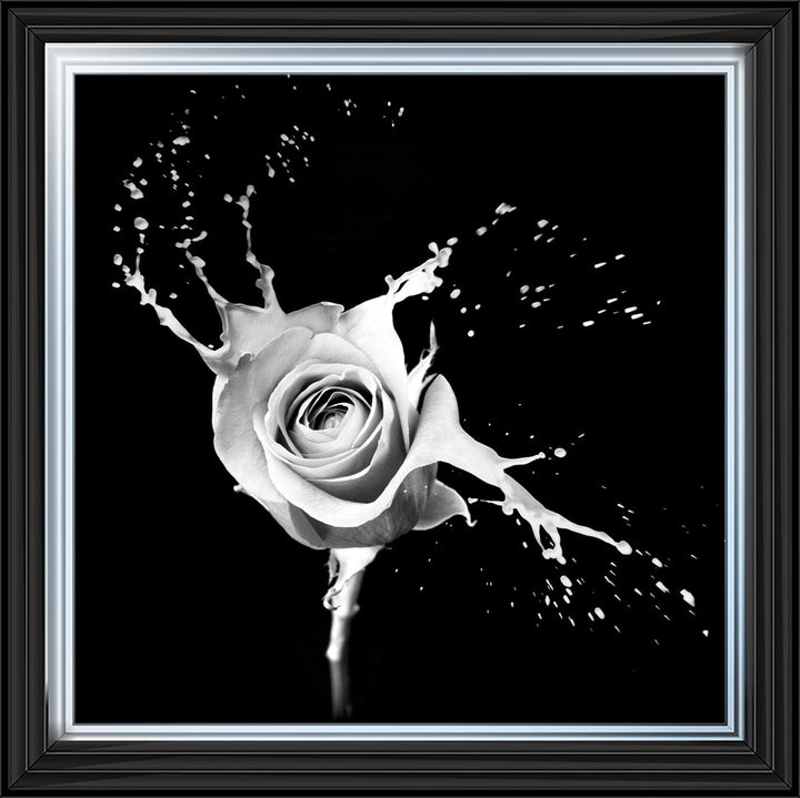 FL015 Rose Splash Black