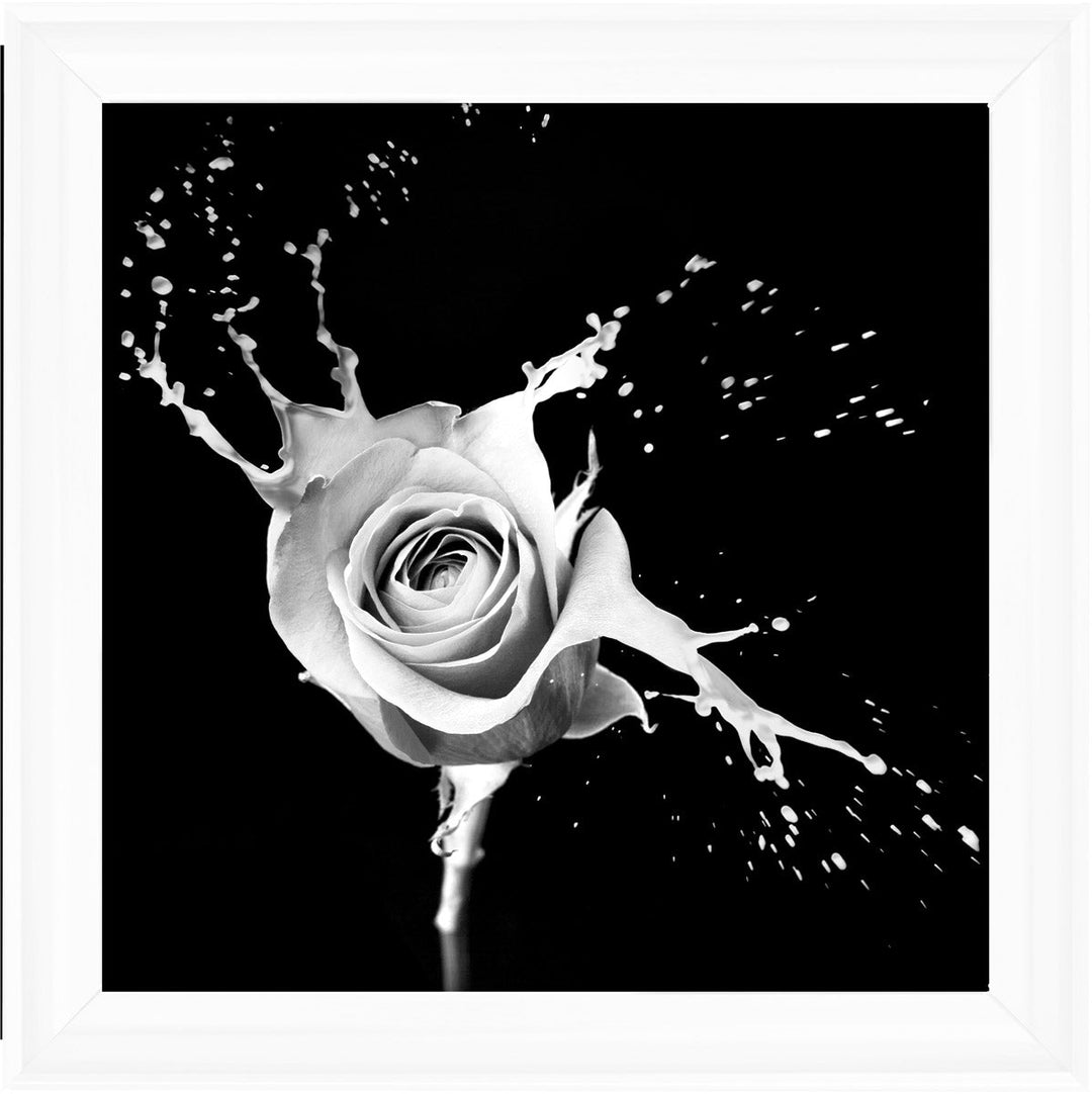 FL015 Rose Splash Black