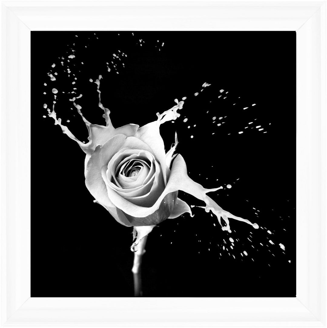 FL015 Rose Splash Black