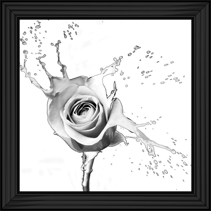 FL016 Rose Splash White
