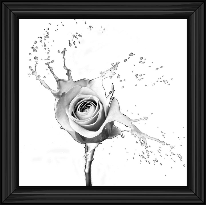 FL016 Rose Splash White