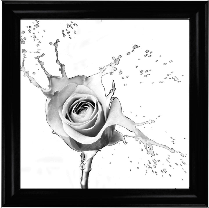 FL016 Rose Splash White