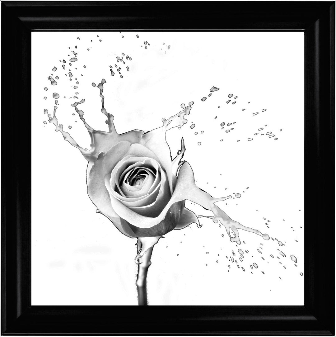 FL016 Rose Splash White