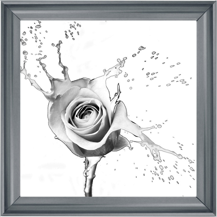 FL016 Rose Splash White