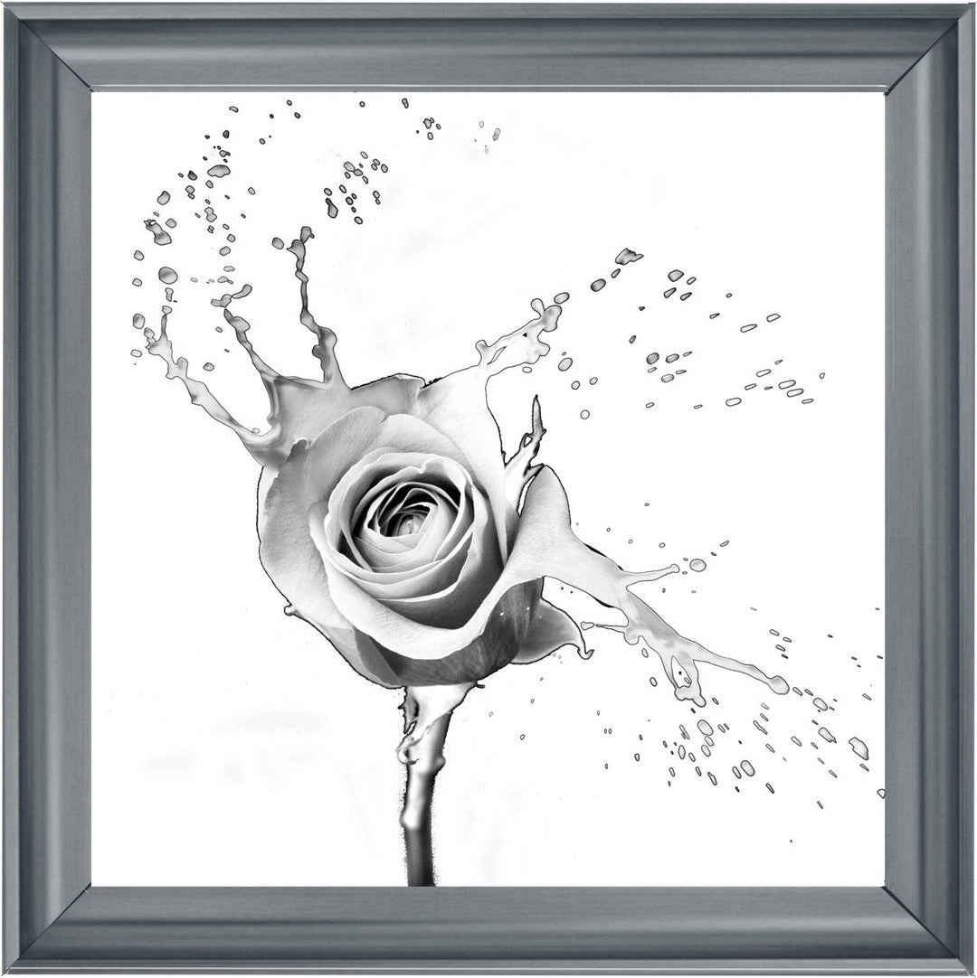 FL016 Rose Splash White