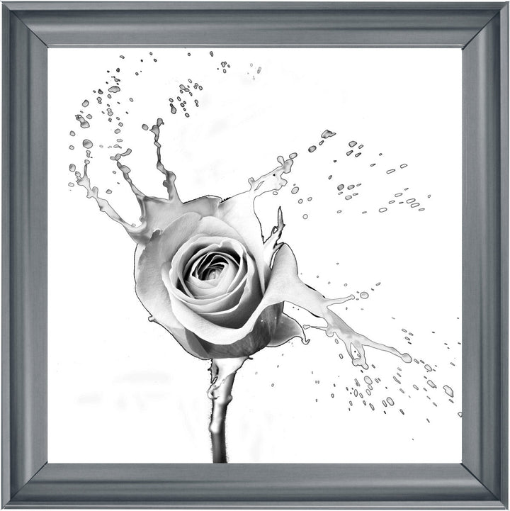 FL016 Rose Splash White