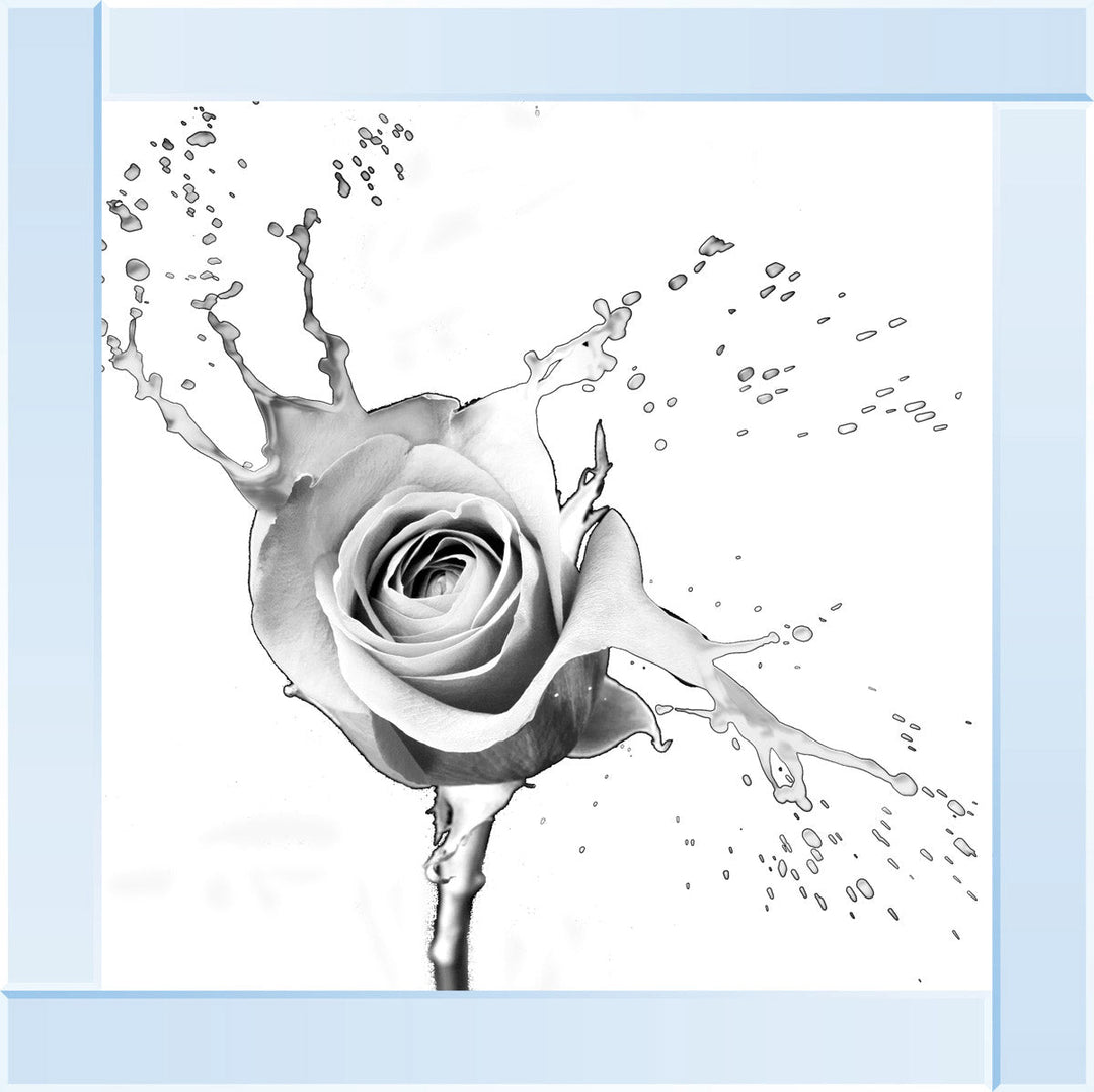 FL016 Rose Splash White