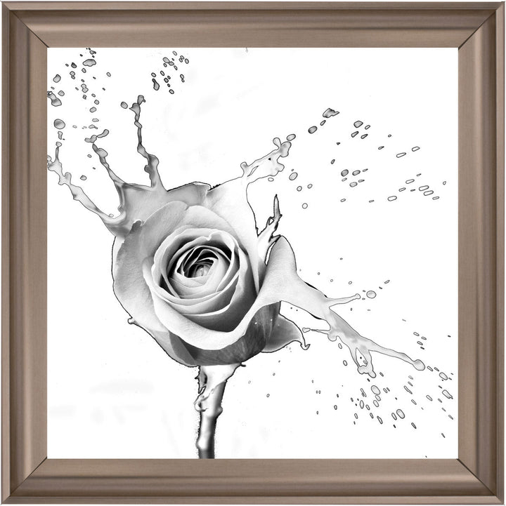 FL016 Rose Splash White